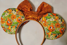 Load image into Gallery viewer, Citrus Swirl and Orange Bird ears
